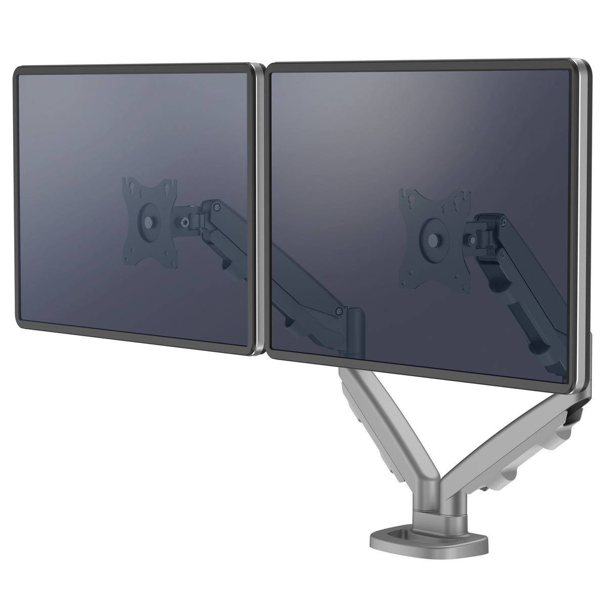 Fellowes Eppa Skärmarm Dubbel